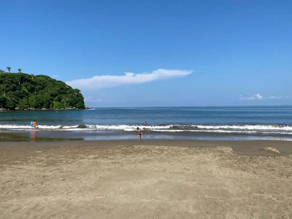 Palmeras y arena dorada en Playa Platanitos
