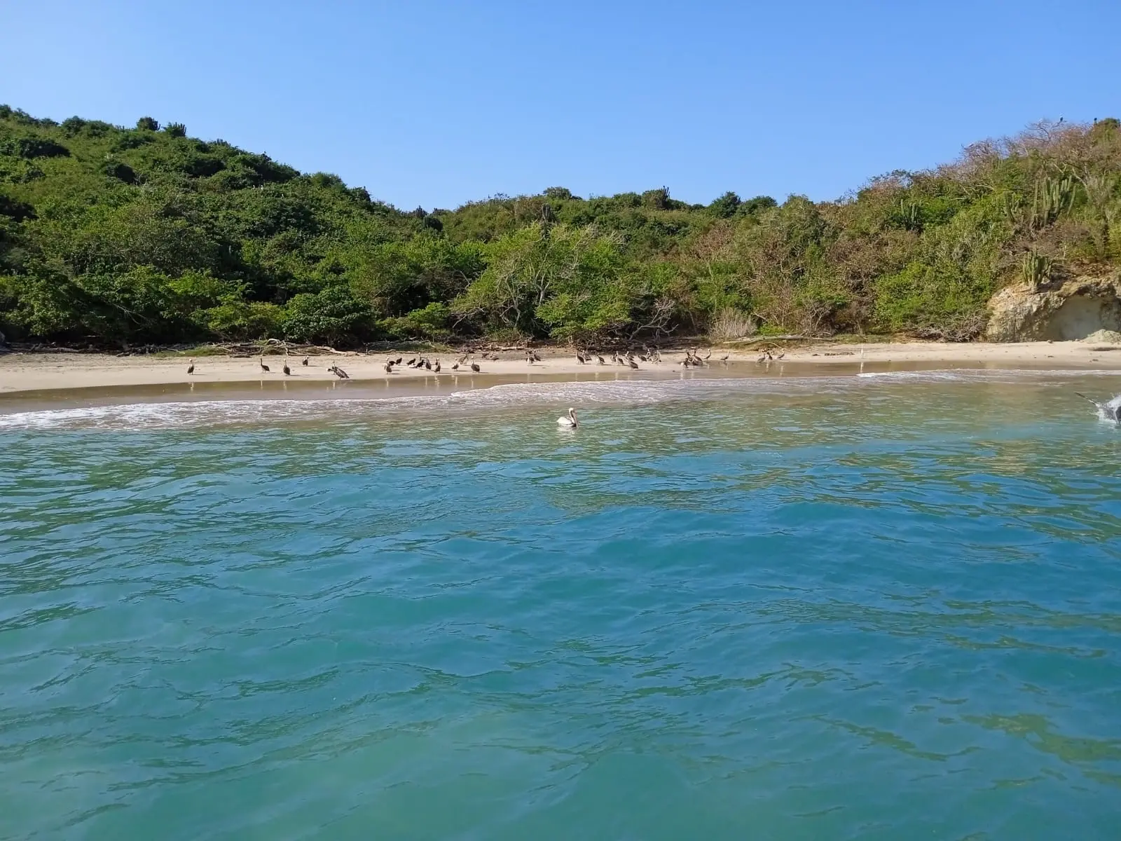 Playa familiar al amanecer en Punta Pérula