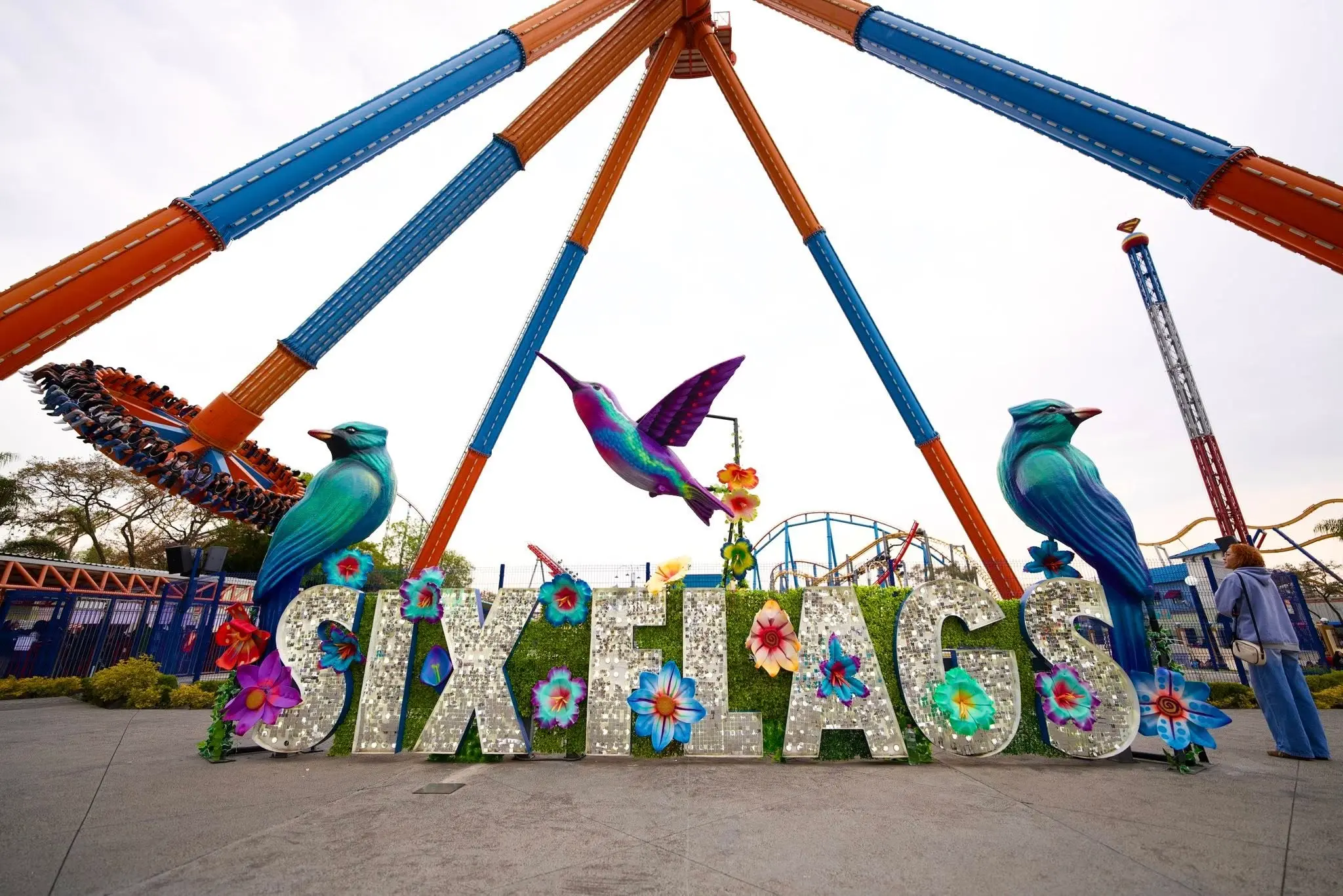 Atracciones acuáticas en Six Flags